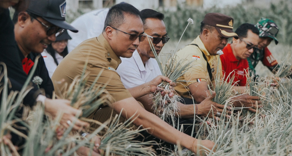Pj. Sekda Badung Panen Bawang Merah di Subak Delod Sema Sading